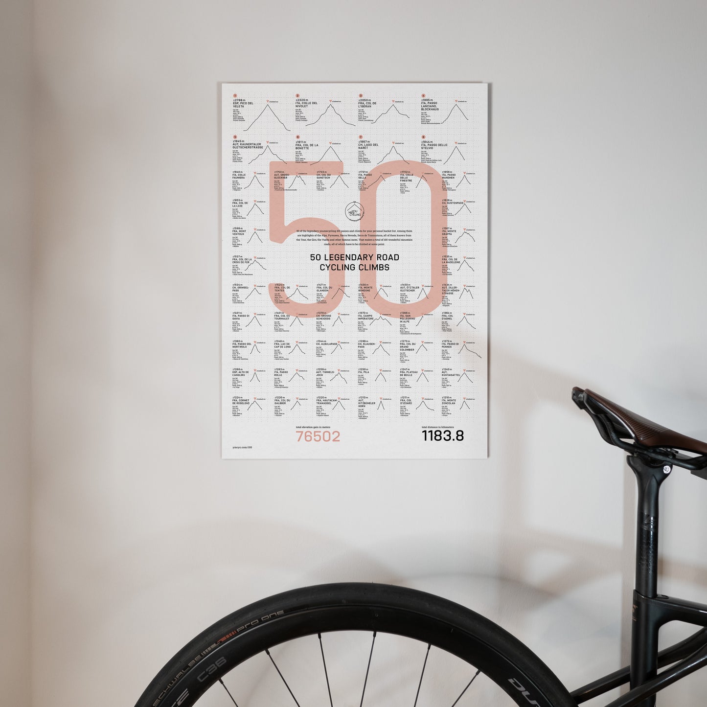 Vintage Fifty: Retro Edition DIN A2 poster